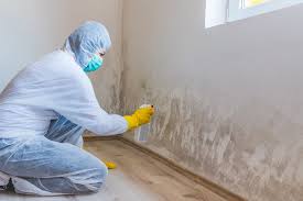 Mold Odor Removal Services in Sea Ranch, CA